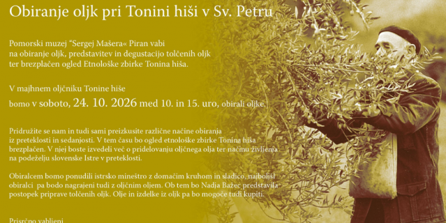 La raccolta delle olive presso la Casa di Tona a Sv. Peter
